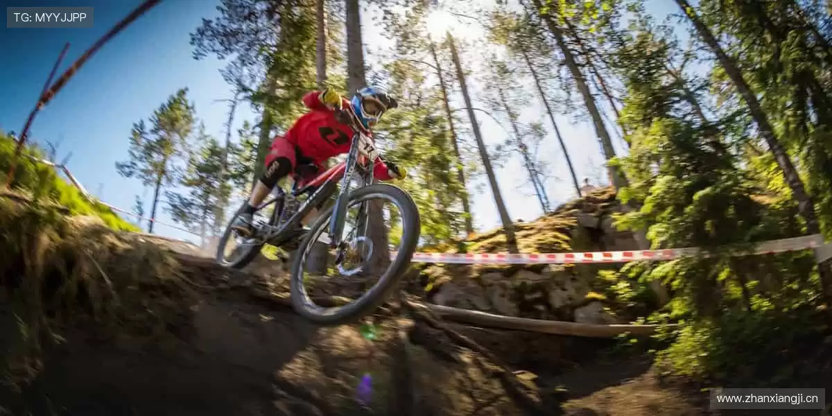 🏆 见证每一刻荣耀，体育赛事官网，让热爱永不缺席！